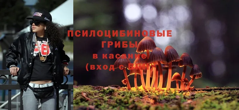 купить наркотики цена  Слободской  Псилоцибиновые грибы MAGIC MUSHROOMS 